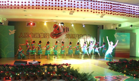 人民電器,人民電器集團,中國人民電器集團