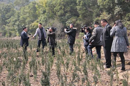 人民電器,人民電器集團(tuán),中國人民電器集團(tuán)